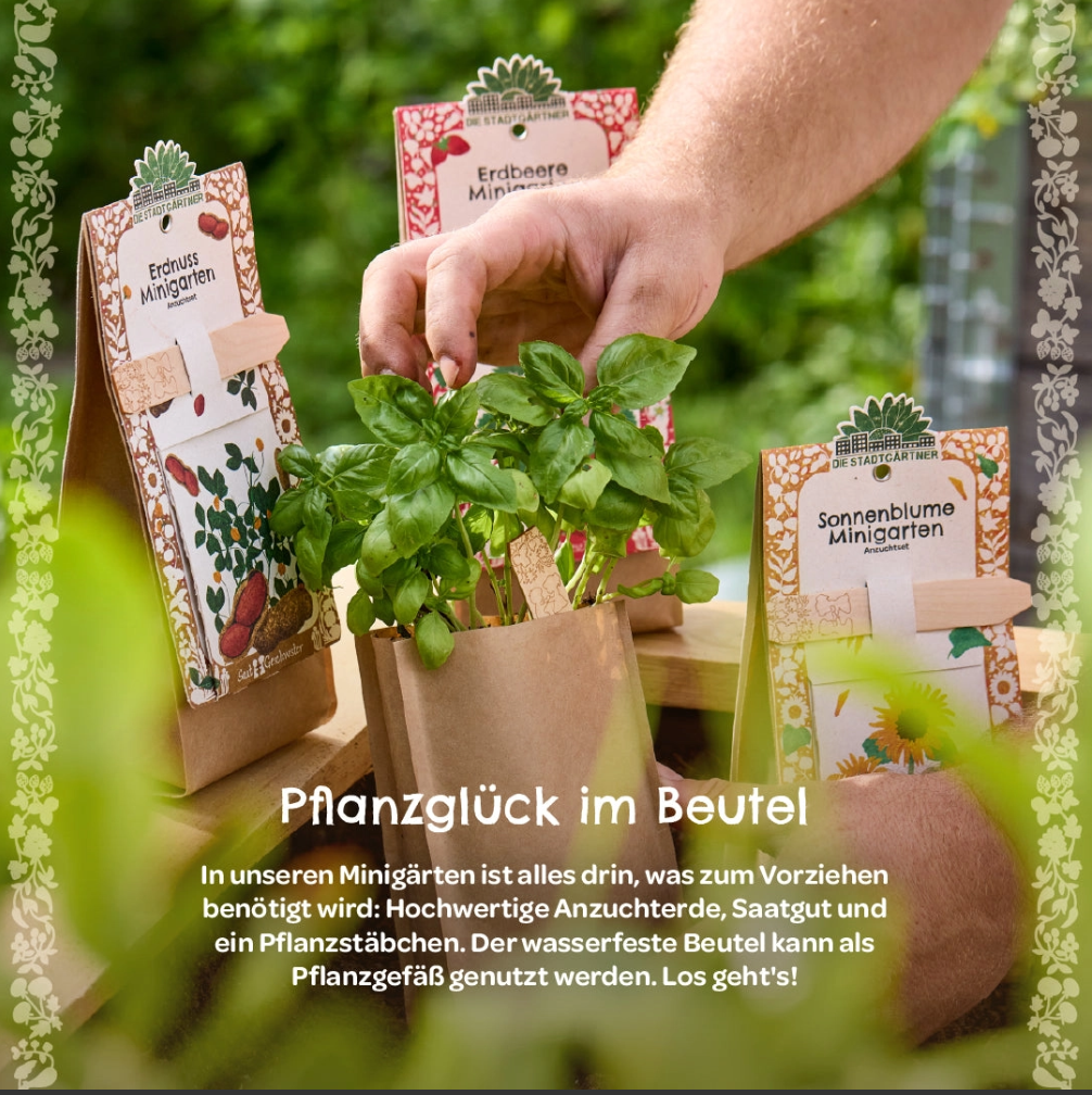 Minigarten - Erdbeere  🌻 Perfekt für den Balkon