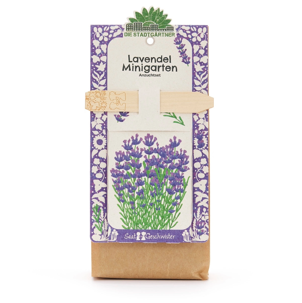Minigarten - Lavendel  🌻 Perfekt für den Balkon