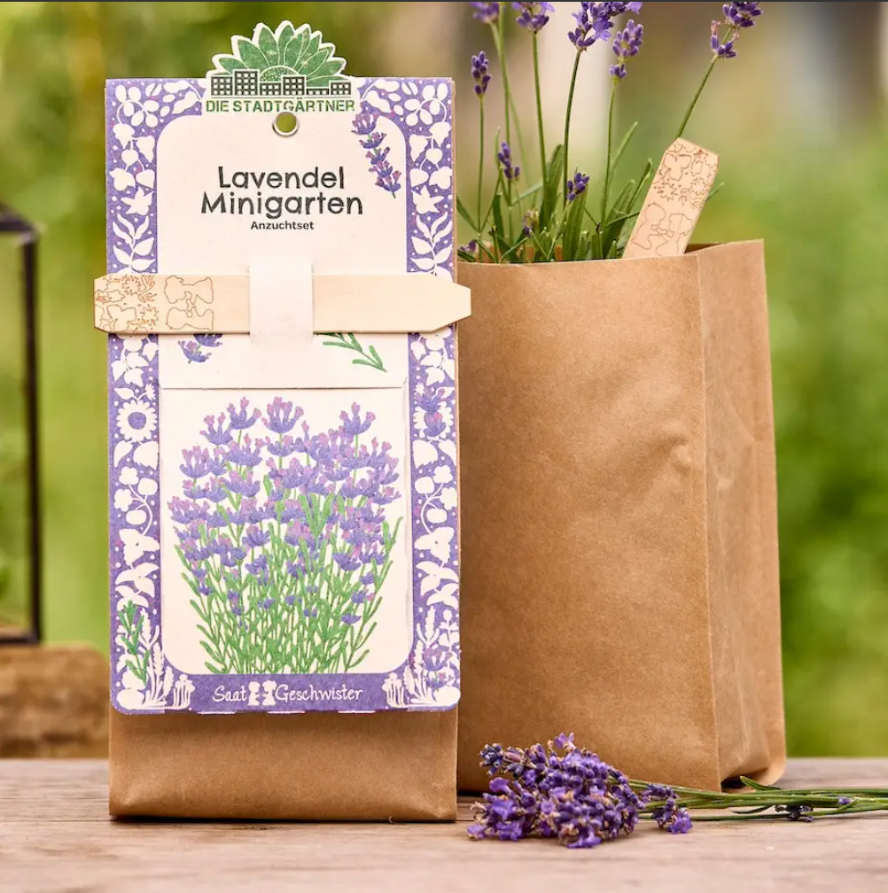 Minigarten - Lavendel  🌻 Perfekt für den Balkon