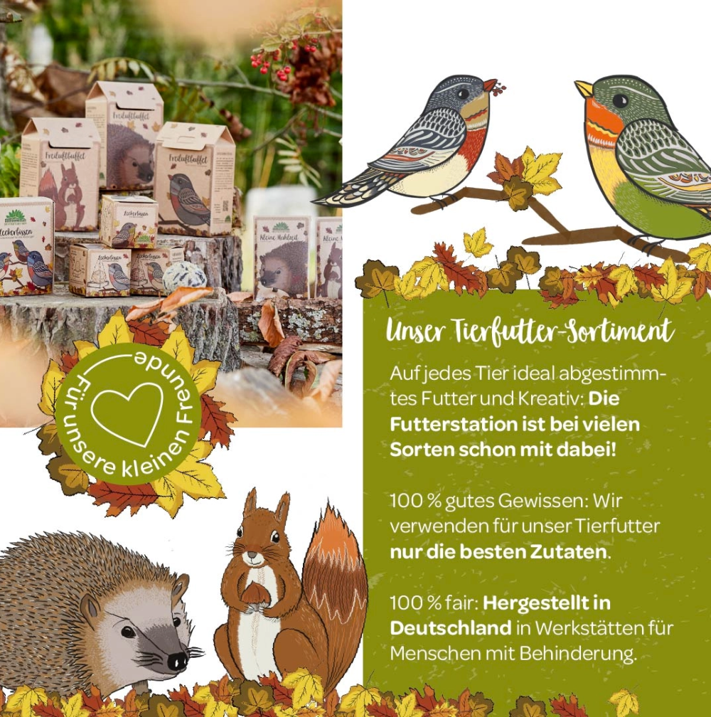 Futterhäuschen Vögel